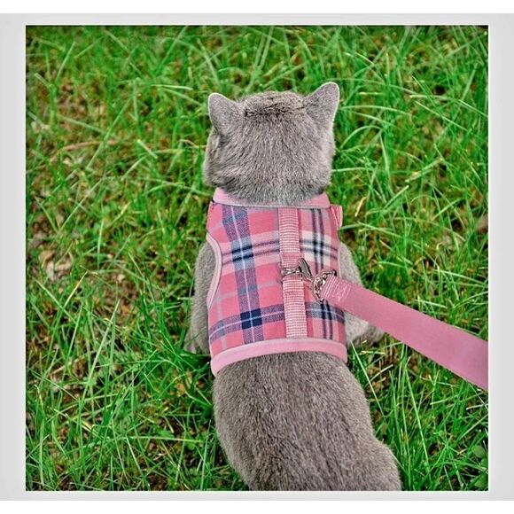 NWT PUPTEK CATS LEASH AND HARNESS SET - Picture 6 of 8